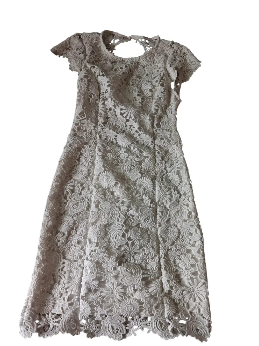 Lulus Lace Floral Dress